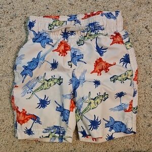 Dinosaur Print Kids Shorts